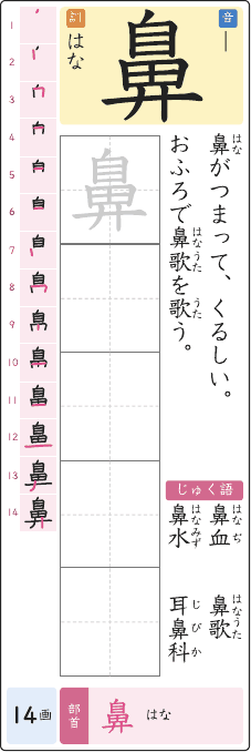 鼻 のプリントの見本