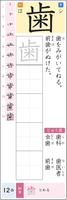 歯 のプリントの見本