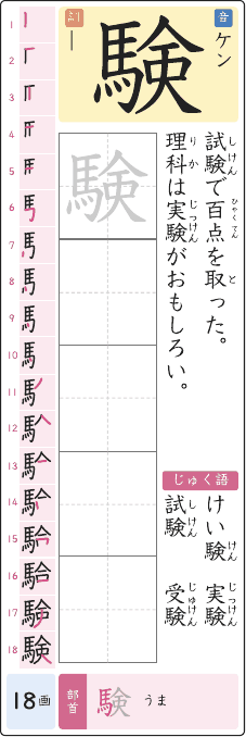 験 のプリントの見本