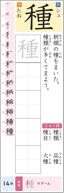 種 のプリントの見本