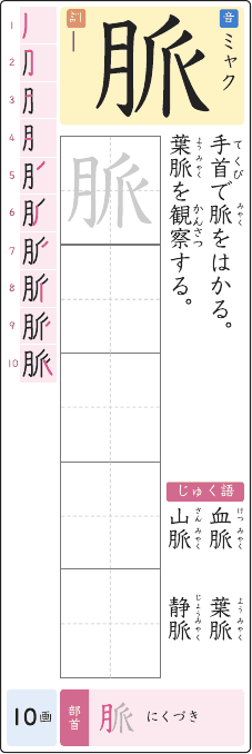 脈 のプリントの見本