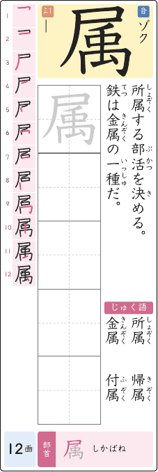 属 のプリントの見本