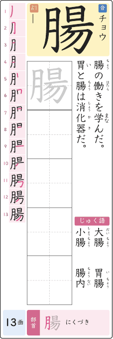 腸 のプリントの見本