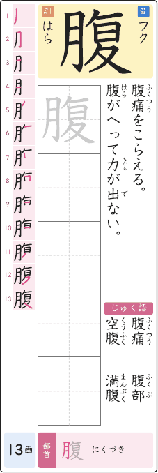 腹 のプリントの見本