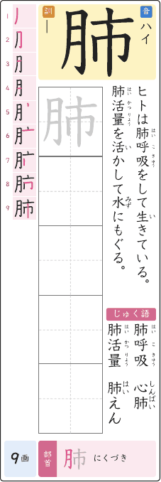 肺 のプリントの見本