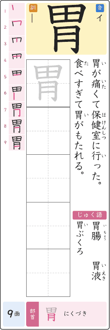 胃 のプリントの見本