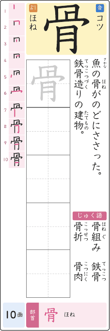 骨 のプリントの見本