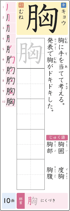 胸 のプリントの見本