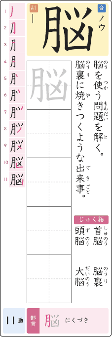 脳 のプリントの見本