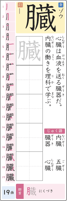 臓 のプリントの見本